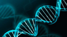 Timeline: HISTORIA DE LA GENÉTICA - Javier Alonso Vergara Mesinas V "B"