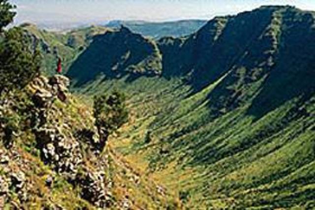 Tribal Conflict/Massacre