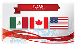 El modelo modernizador