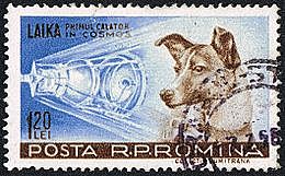 Primer ser vivo terrestre en orbitar la tierra. Laika (Perra espacial soviética)