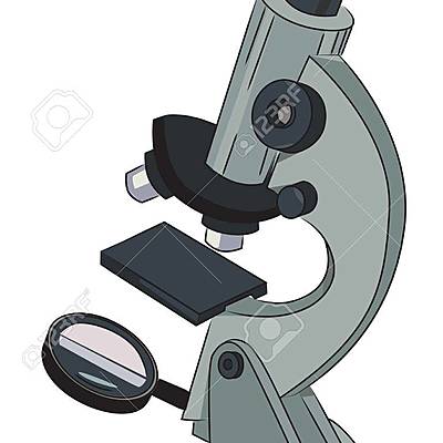 Timeline: EL MICROSCOPIO