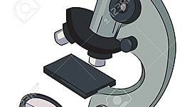 Timeline: EL MICROSCOPIO