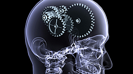 Timeline: Psicología Cognitiva