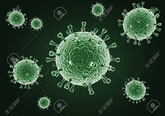 Segunda guerra mundial