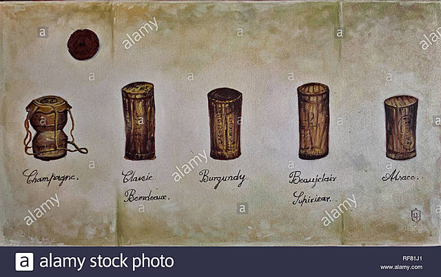 SIGLOS DE EXPANSIÓN