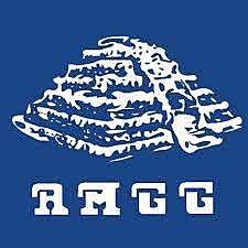 AMGG: Asociación Mexicana de Geriatría y Gerontología