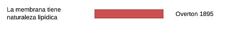 C.E. Overton.. Membrana lipídica