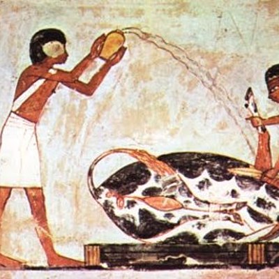 Timeline: Historia de la veterinaria