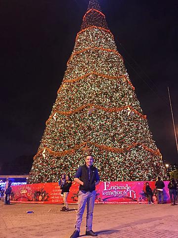 Visita al Árbol Gallo