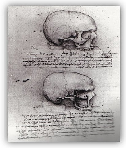 PRIMER LIBRO DE ESTOMATOLOGIA