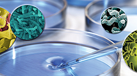 Timeline: La microbiología en su contexto histórico