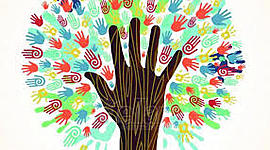 Timeline: bien comun