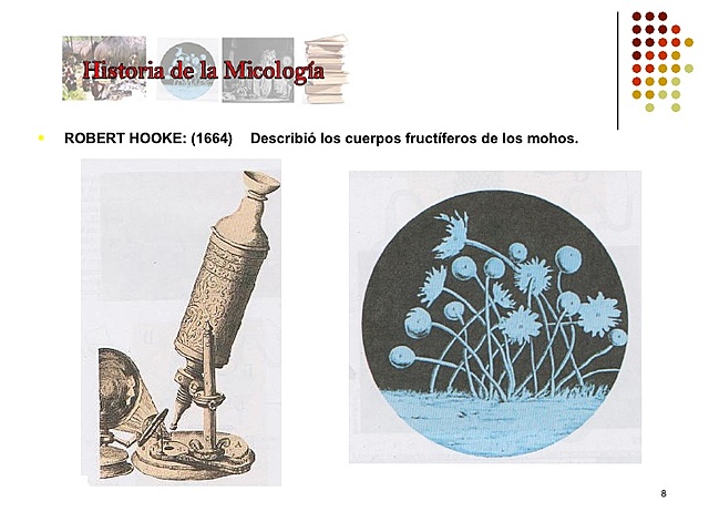 Primera descripción de un microorganismo