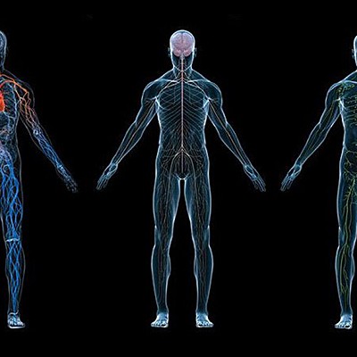 Timeline: Linea de tiempo de la fisiología