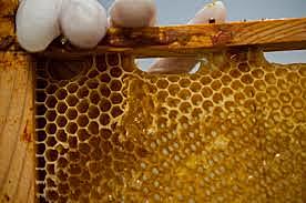 Rob Smith, Australia