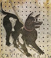 Roma - Nace el término "veterinarius"