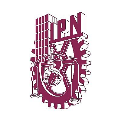 Instituto Politécnico Nacional (IPN)