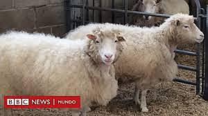 Clonación de la oveja Dolly