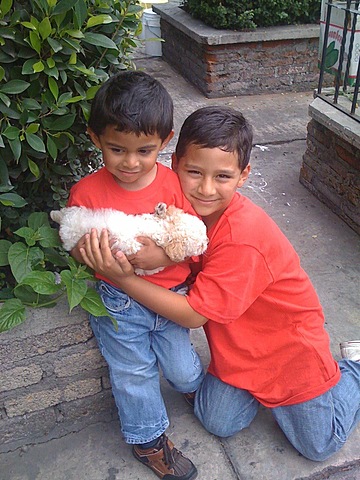 Llego Sherif mi primer perro