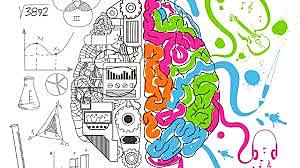 NACE LA NEUROCIENCIA ( Baars y Gage )