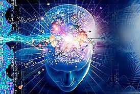 LOS LOCALIZACIONISTAS Y LOS HOLISTAS