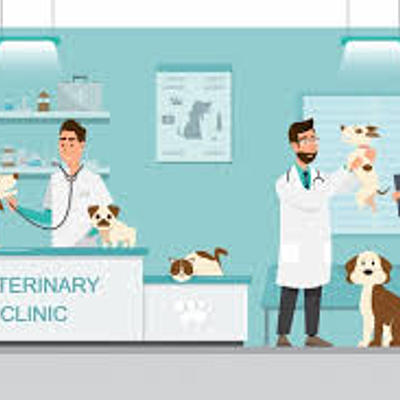 Timeline: Historia de la Medicina Veterinaria Zootecnista.