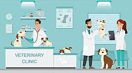 Timeline: Historia de la Medicina Veterinaria Zootecnista.