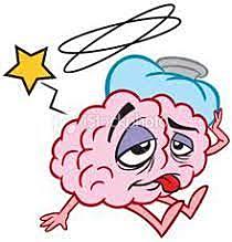 TEORÍA DEL CAMPO AGREGADO  ( Pierre Flourens)