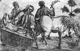 Lecciones de anatomia y cirujia