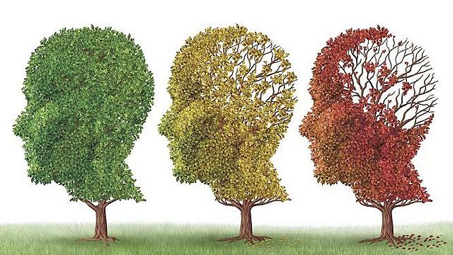 Reserva cognitiva (Petersen, 2009)