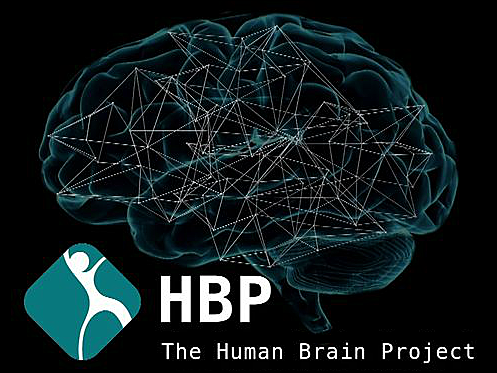 EL FUTURO EN NEUROCIENCIA: “Human brain project”