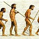 Evolucion del ser humano