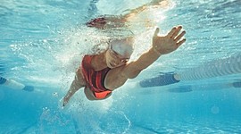 Timeline: Estilo Crol o Libre