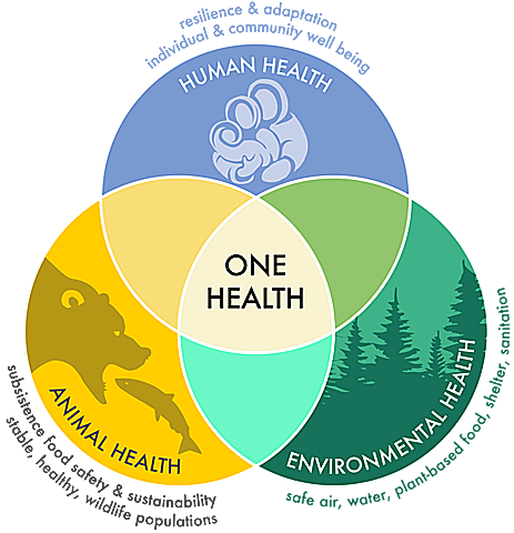 Concepto de una sola salud