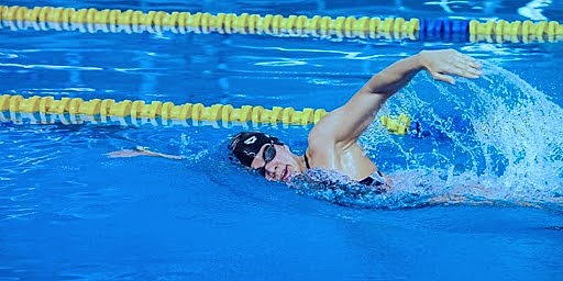 Brazada del Estilo Crol o libre