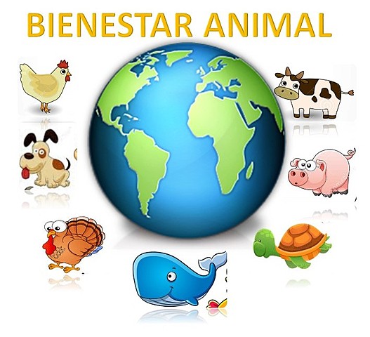 Bienestar animal y el perfil del MVZ en Latinoamerica