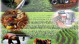 Timeline: DESARROLLO HISTÓRICO DE LA EXTENSIÓN RURAL EN COLOMBIA - HENRY FABIAN MENESES CADENA