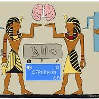 Timeline: Historia de las neurociencias del comportamiento presentado por Angelica Cañon  Alvarez.