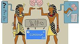 Timeline: Historia de las neurociencias del comportamiento presentado por Angelica Cañon  Alvarez.