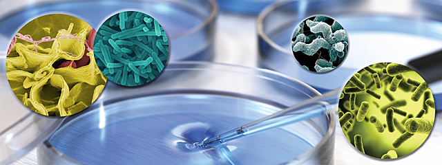 Microbiologia Moderna y La Genomica