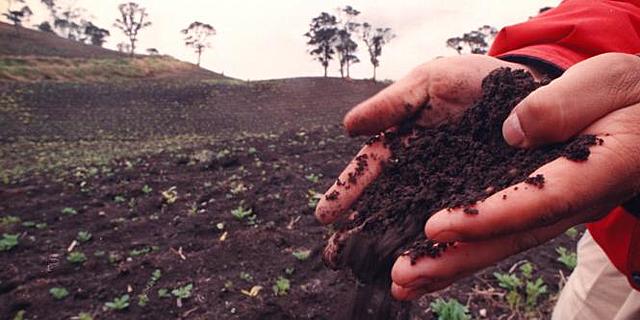 SEAMAN KNAPP 1832 - 1911