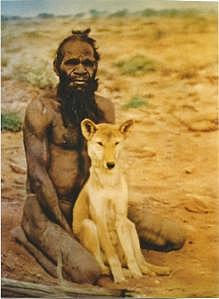 PRIMERA DOMESTICACIÓN