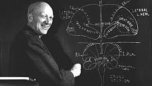 Wilder Penfield (1891-1976)