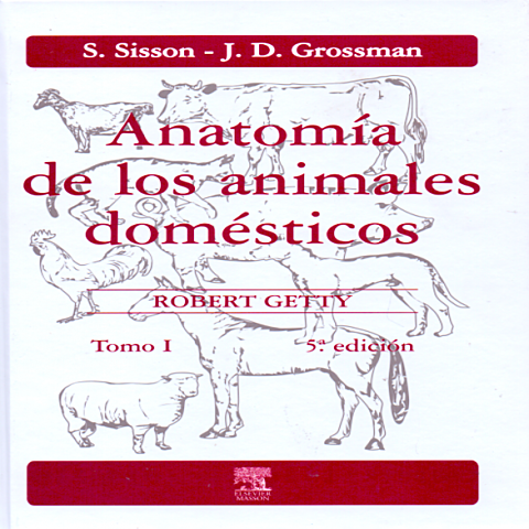 Anatomía de los animales domésticos