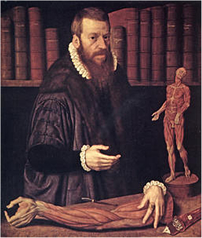 Volcher Coiter JAN 1, 1575
