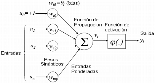 Modelo de neuronas artificiales.
