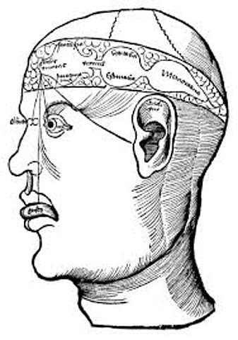 Localización de las funciones mentales en los ventrículos cerebrales