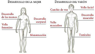 entrada a la primaria