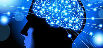 Platón y el Cerebro