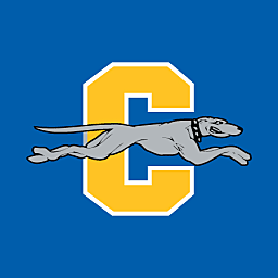Hebrew & Special Education Teacher at Carmel High School